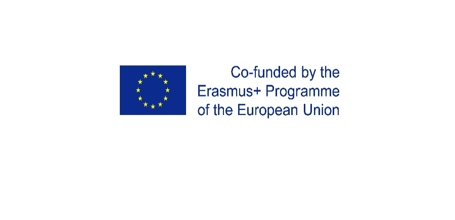 Co-funded by the Erasmus + Programme of the European Union