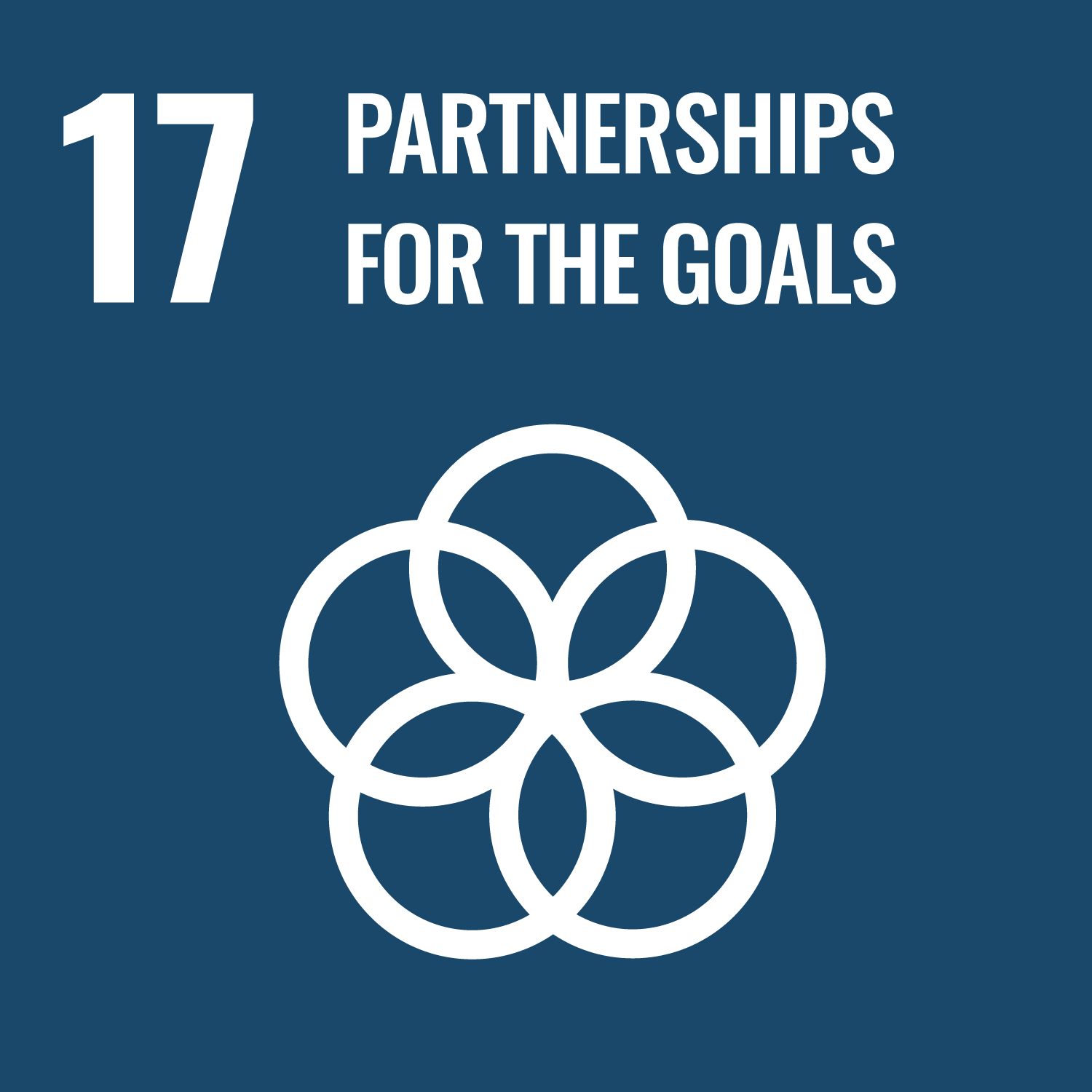 United Nations Sustainable Development Goal 17