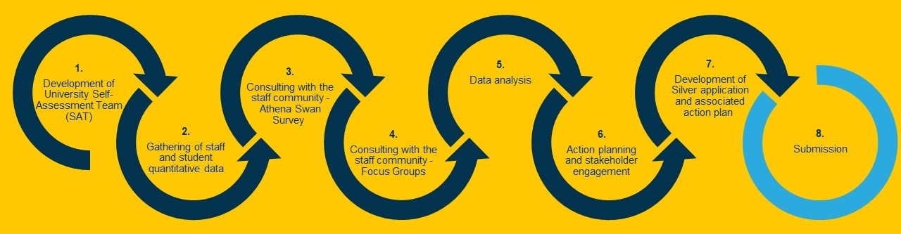 1. Development of University Self-Assessment Team (SAT). 2. Gathering of staff and student quantitative data. 3. Consulting with the staff community - athena swan survey. 4. Consulting with the staff community - focus groups. 5. Data analysis. 6. Action planning and stakeholder engagement. 7. Development of silver application and associated action plan. 8. Submission