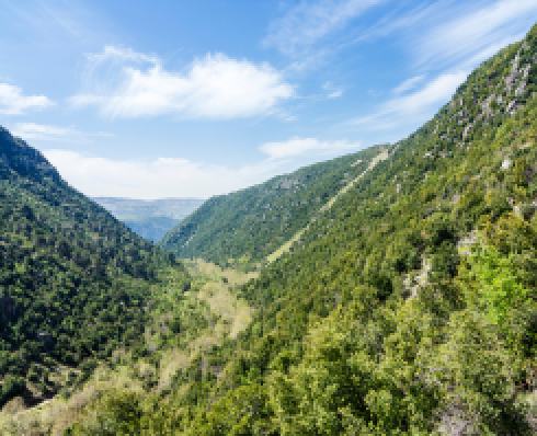 A green valley