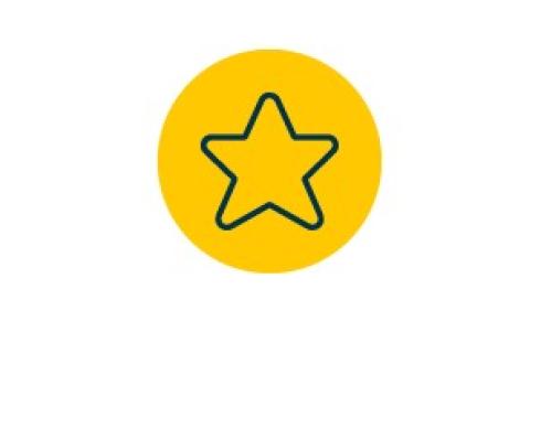 Points of Interest Star Icon