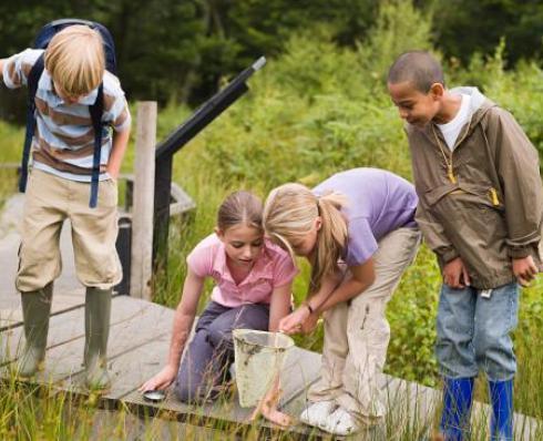 Children exploring nature