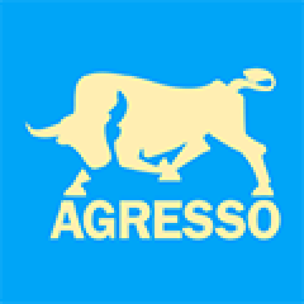 Agresso  (VPN Only