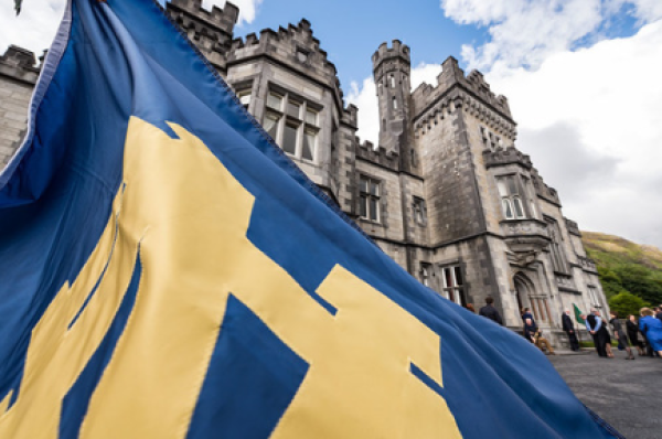 Notre Dame flag