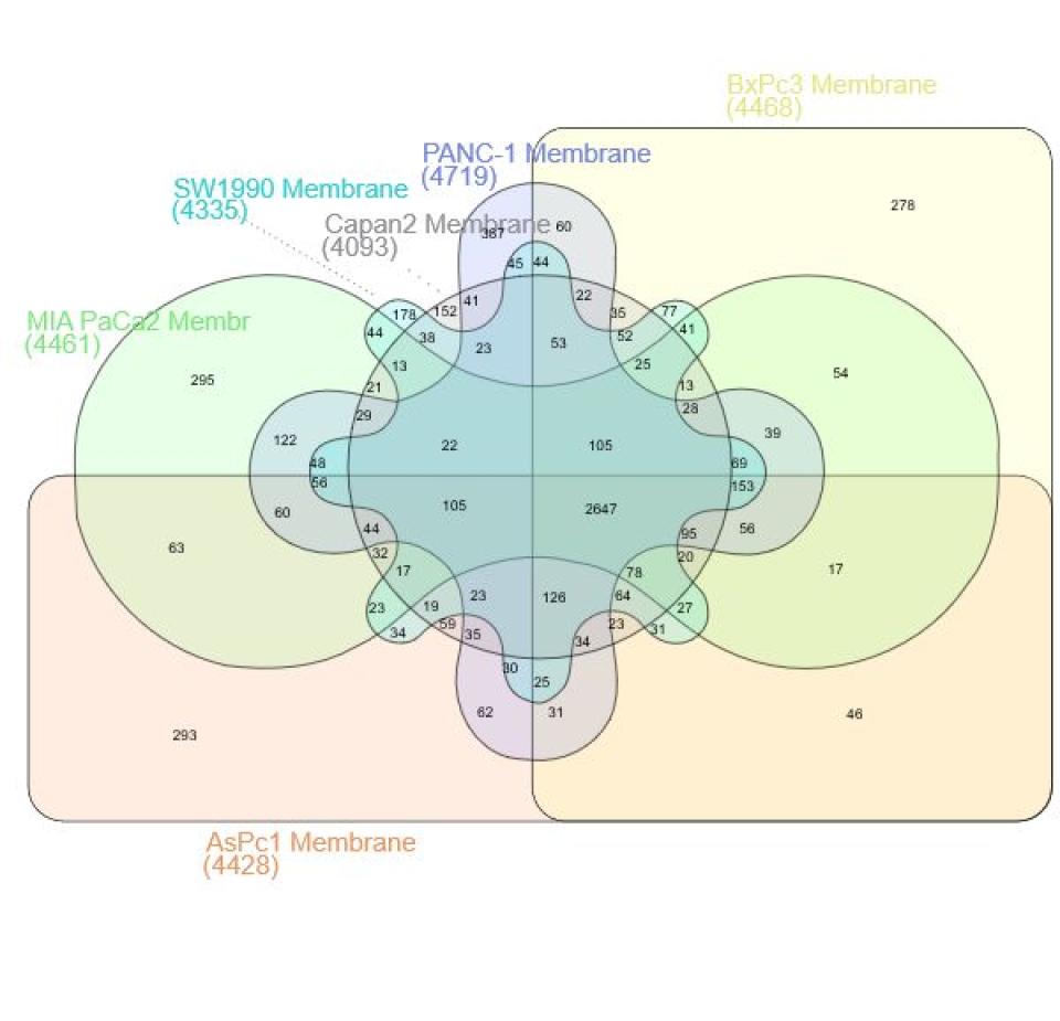 Pancreatic Cancer Proteomics