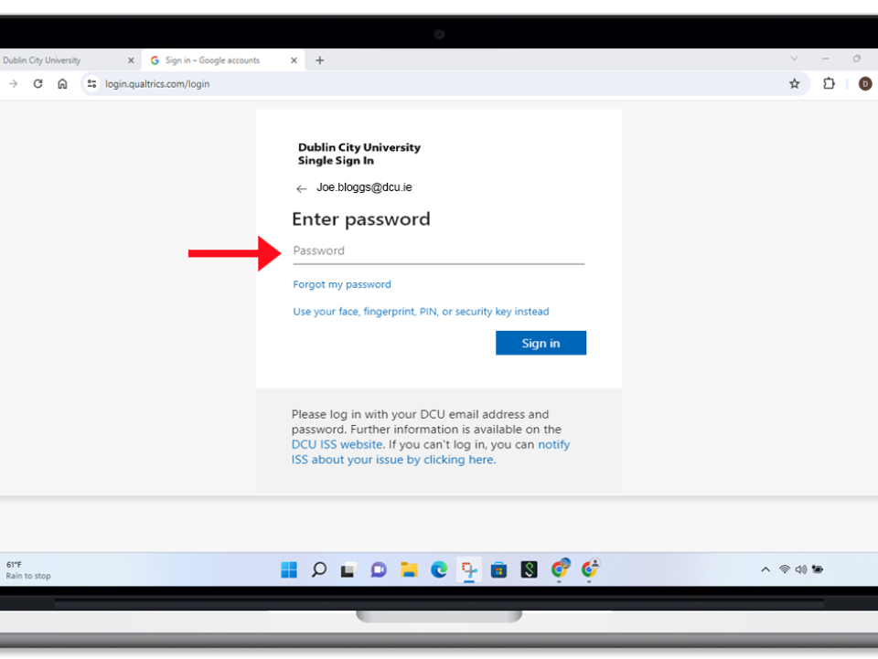 Qualtrics Sign In Step 2, enter your password