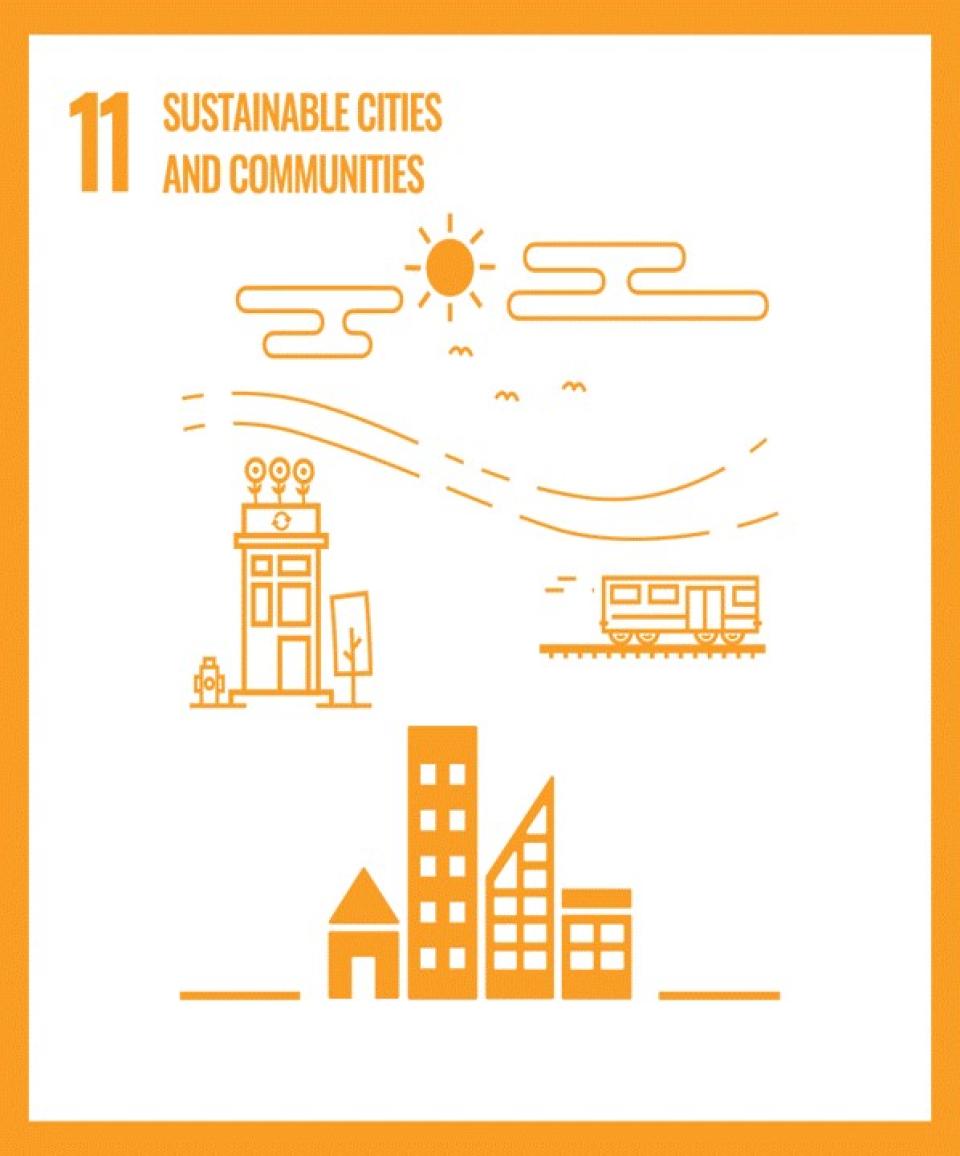 SDG 11 Image