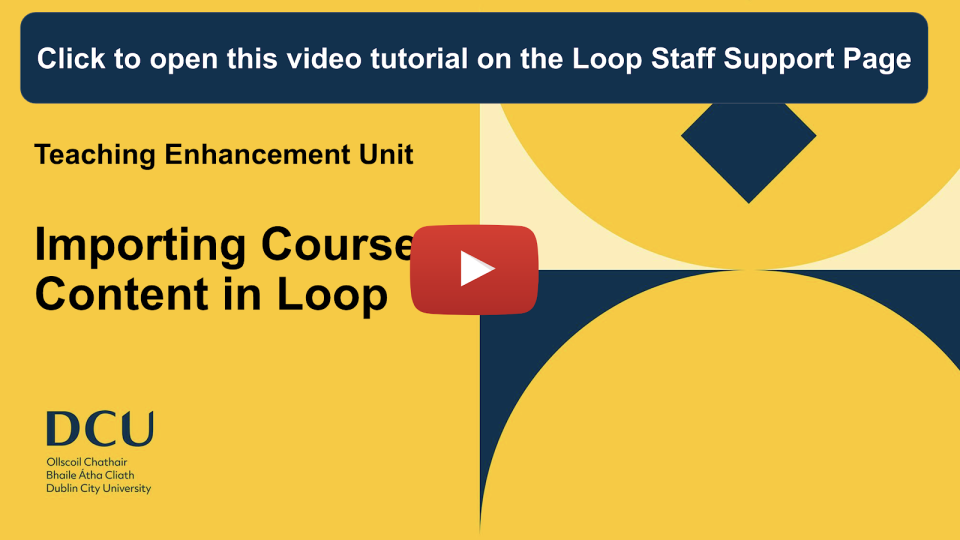 Loop Video