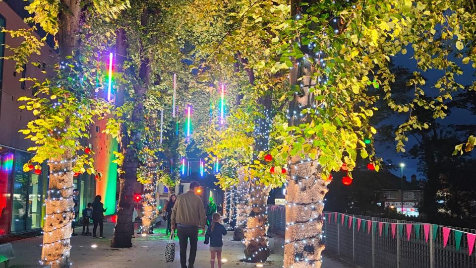 sparkling coloured lights on trees along a walkway