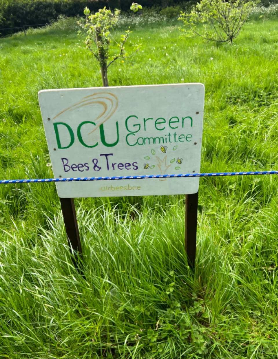 DCU Bees and Trees