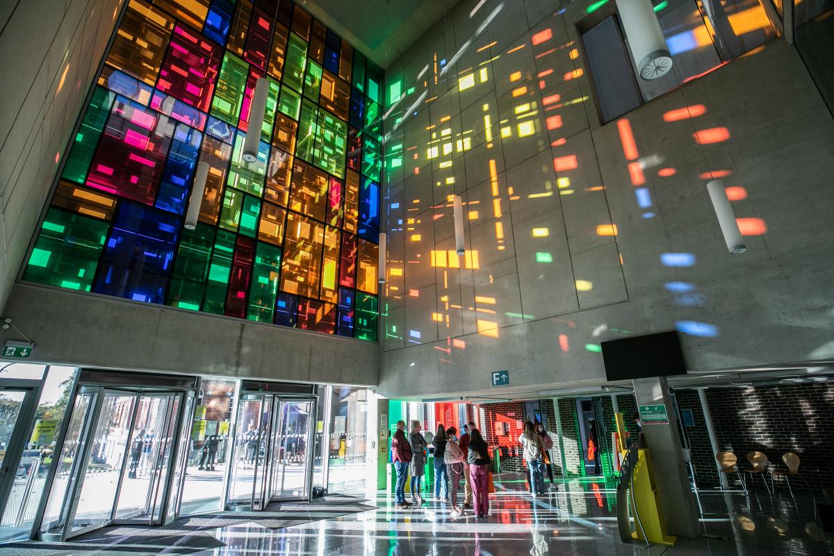 A photo of the stained glass windows in the St Patrick's College Library, with coloured light coming through the glass.