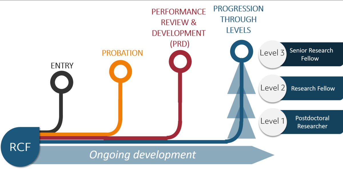 The Researcher career framework has three levels - Level 1 Postdoctoral Researcher, Level 2 Research Fellow and Level 3 Senior Research Fellow. The framework progresses with ongoing development from when you enter DCU, through probation and performance review and development.