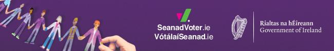 Deadline for DCU degree-holders to register for Seanad vote