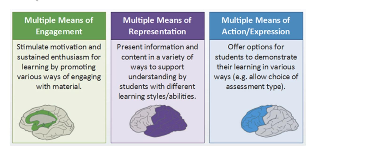 universal learning design